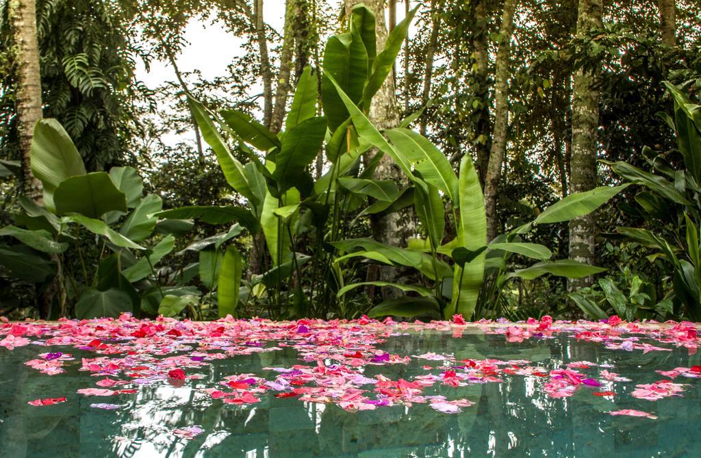Sandat Glamping Tents Luxe tent Ubud