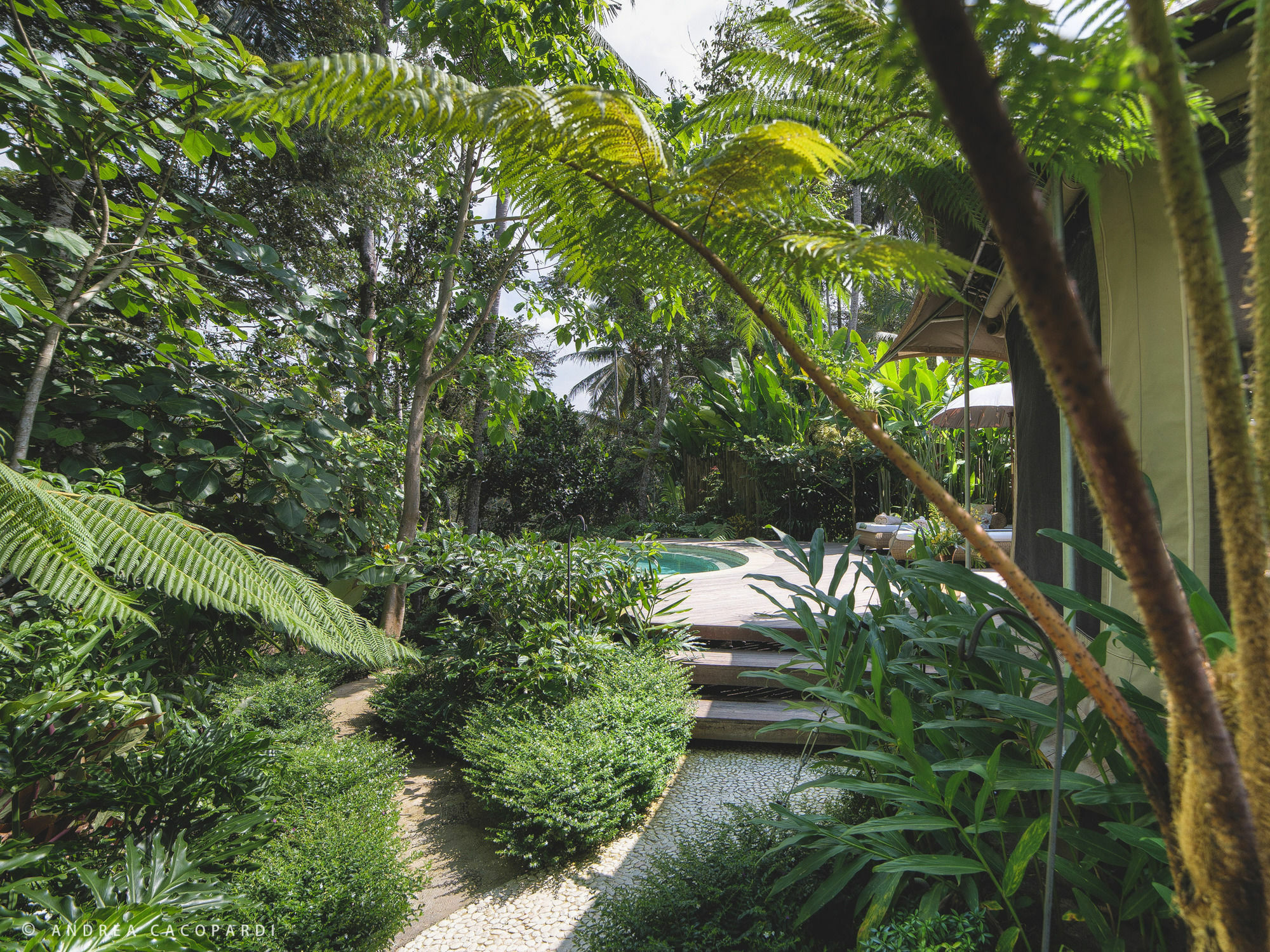 Sandat Glamping Tents 4* Ubud