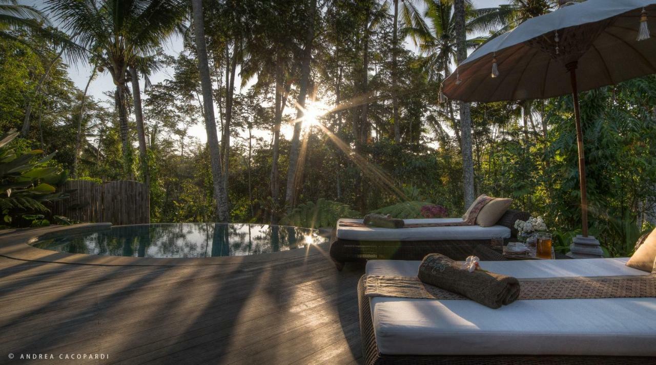 Luxe tent Sandat Glamping Tents Ubud